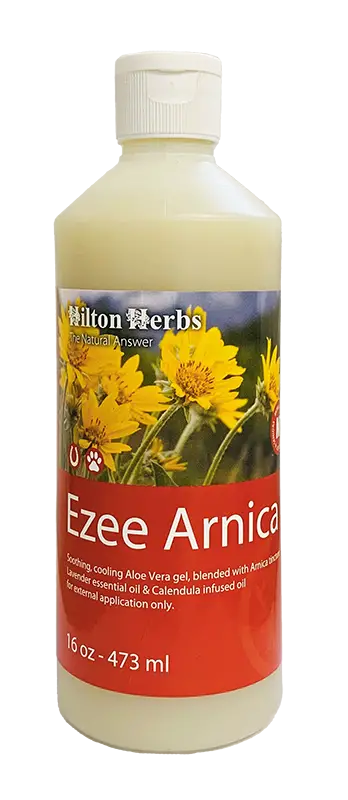 Ezee Arnica - 16oz Bottle